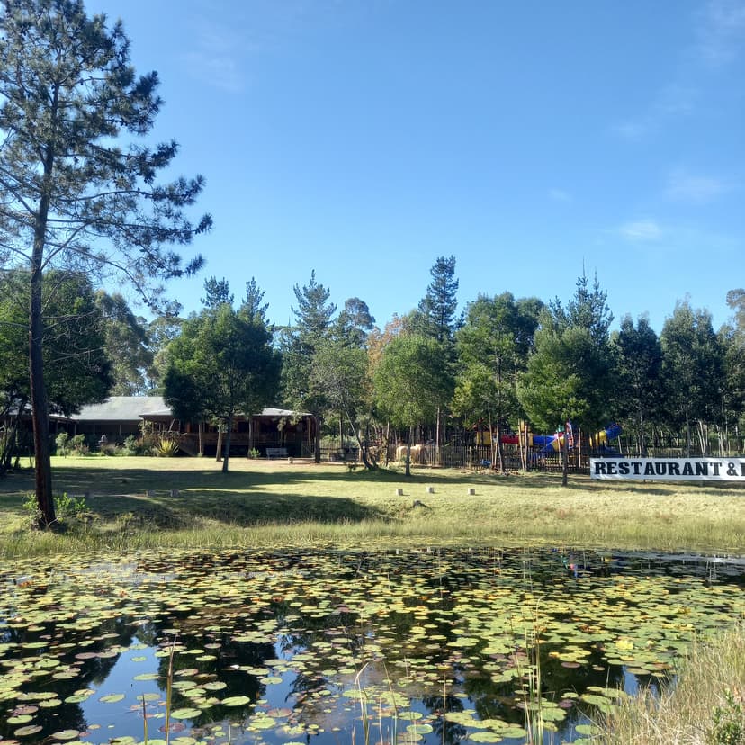 About Us - Maple Ranch