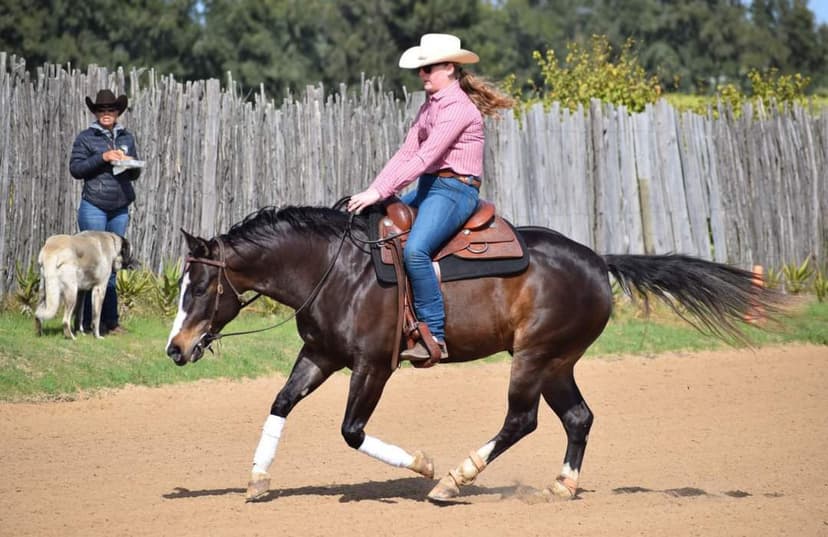 Sire's - Maple Ranch
