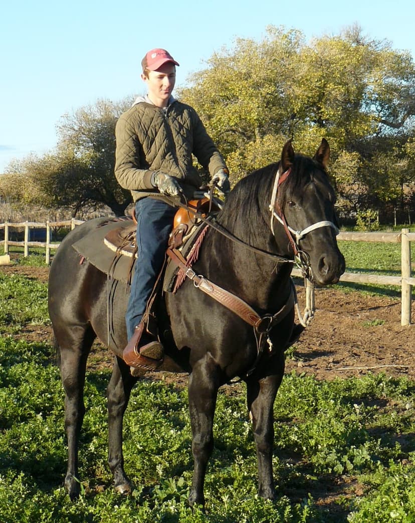 Sire's - Maple Ranch
