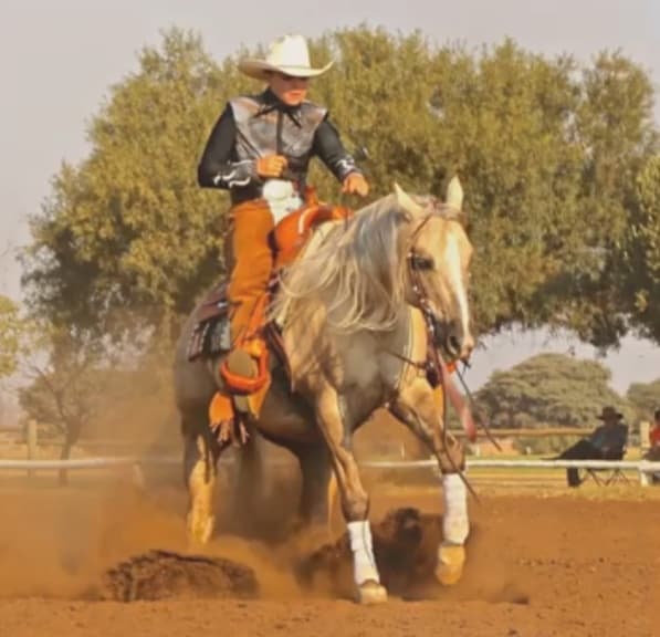 Sire's - Maple Ranch