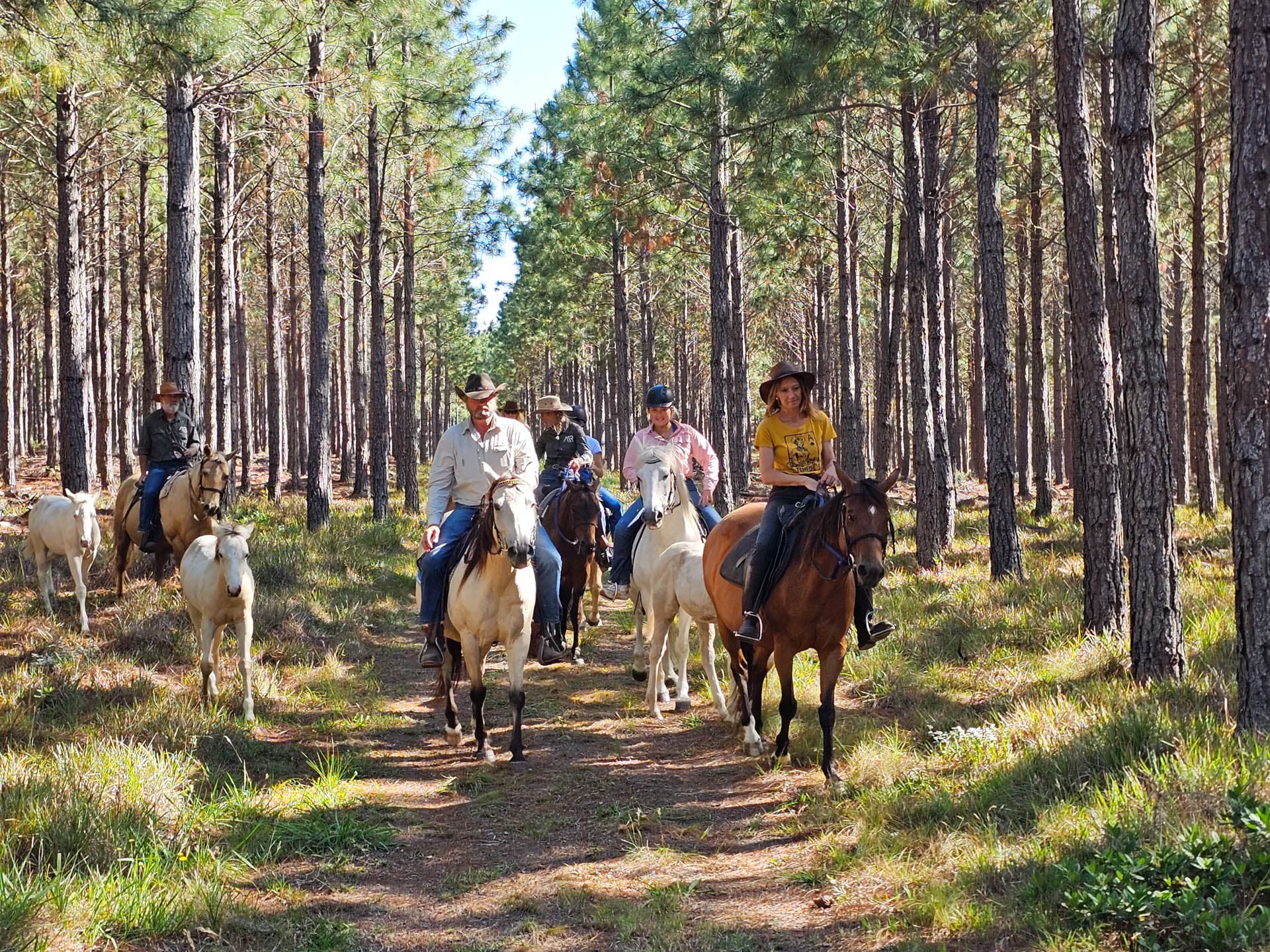 Maple Ranch Gallery - Image 1