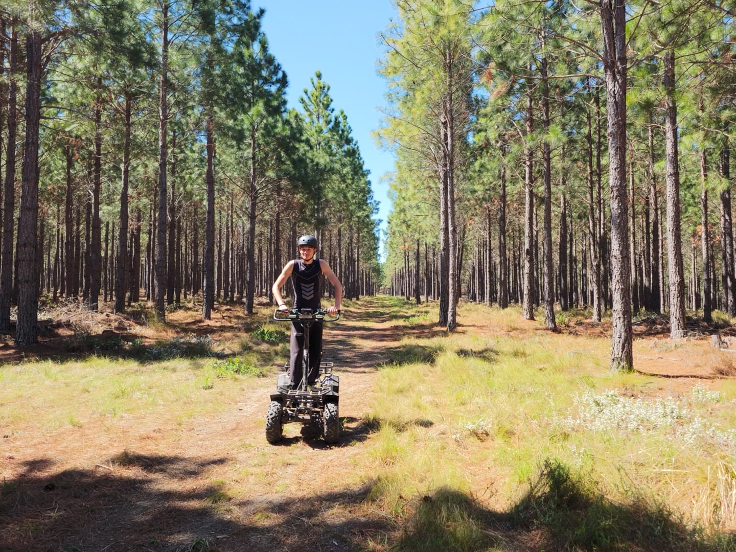 Maple Ranch Gallery - Image 8