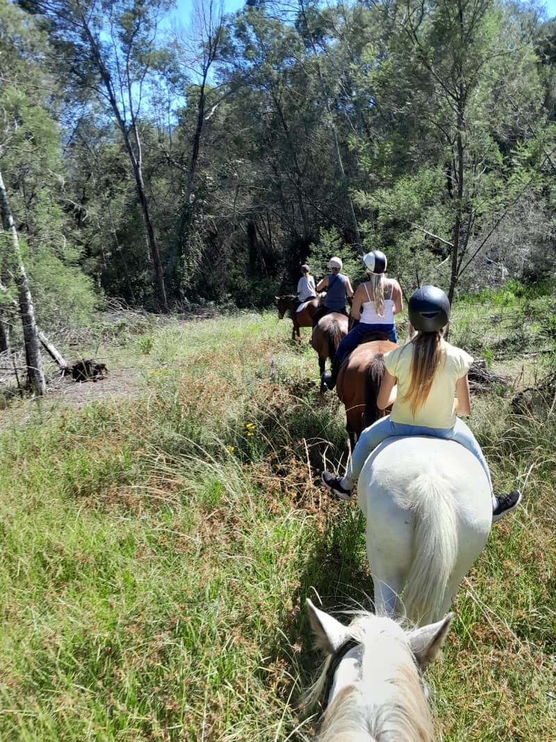 Horse Trails