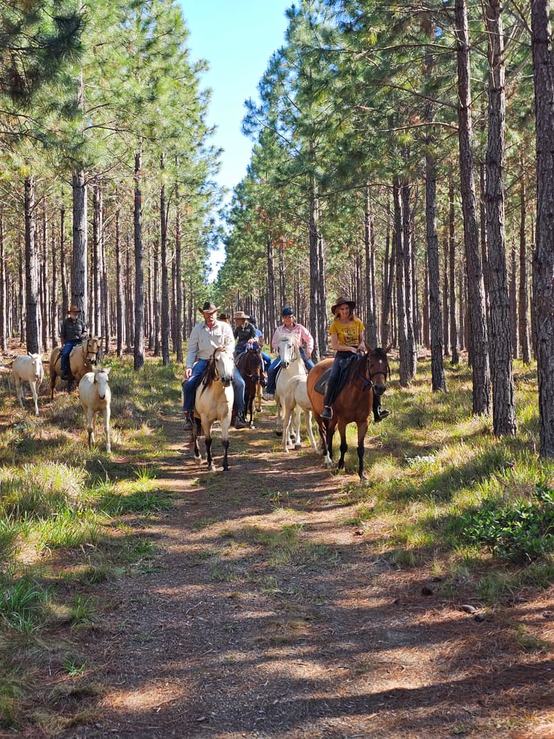 Horse Trails