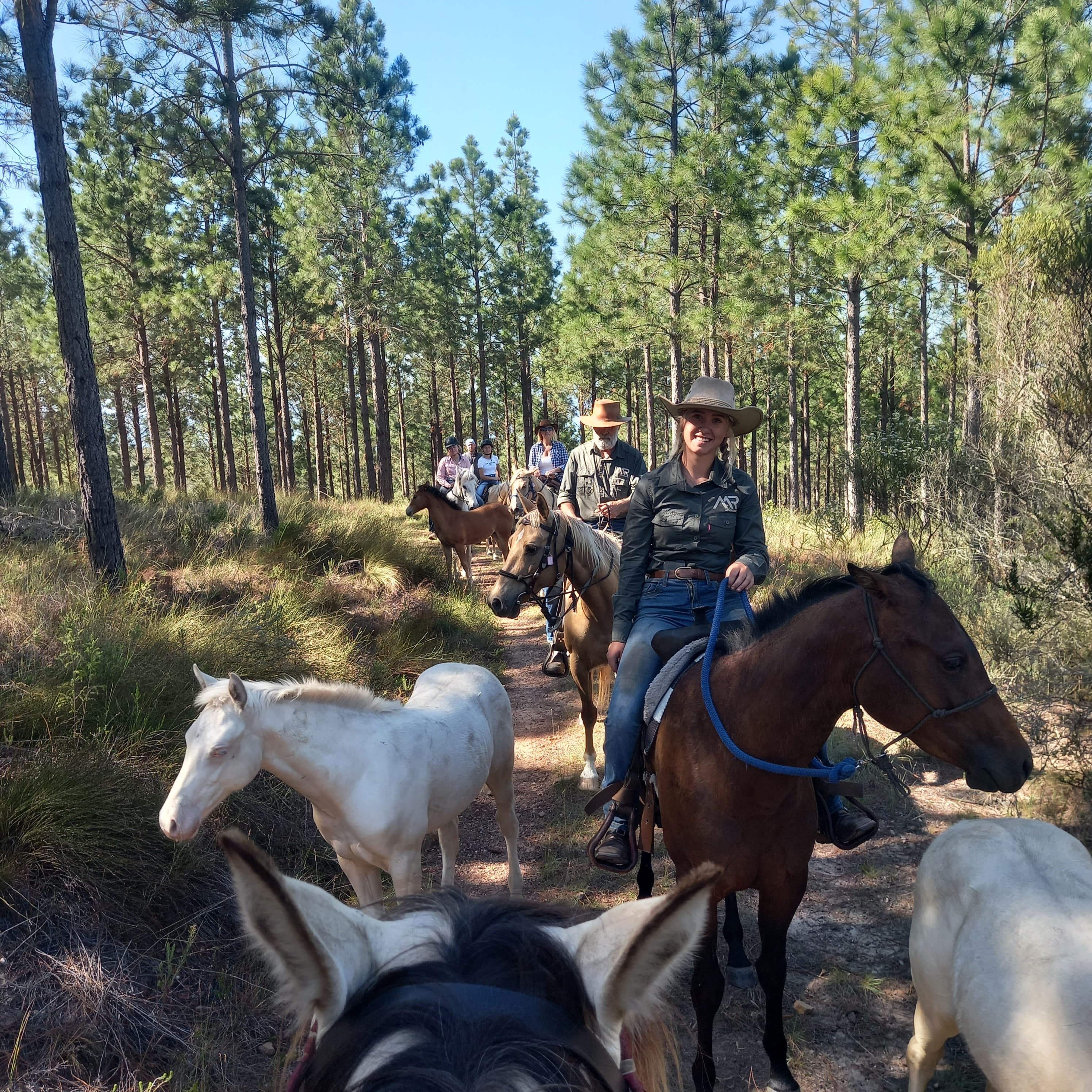 Maple Ranch - Image 4