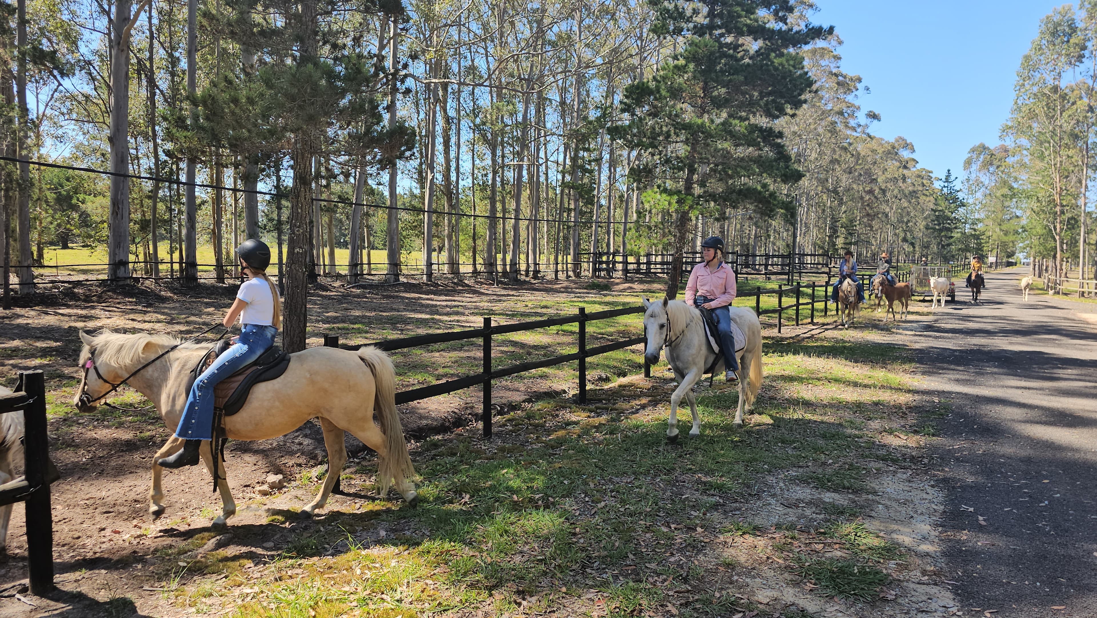 Maple Ranch - Image 3